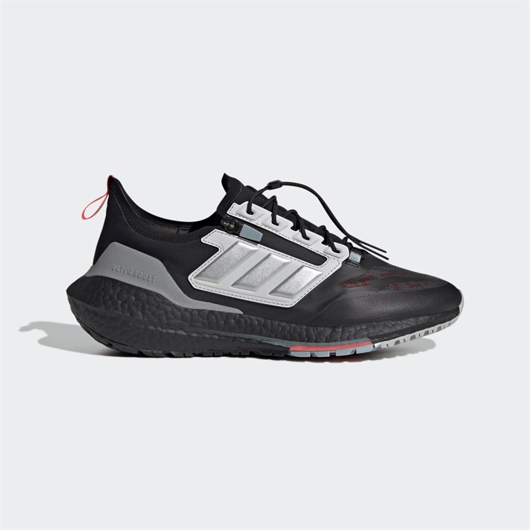 adidas UltraBoost 21 GTX Erkek Koşu Ayakkabısı