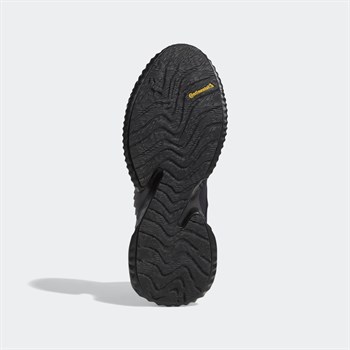 adidas Alphabounce Instinct CC M Erkek Koşu Ayakkabısı