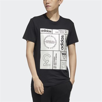 adidas Culture Pack Graphic Erkek Tişört