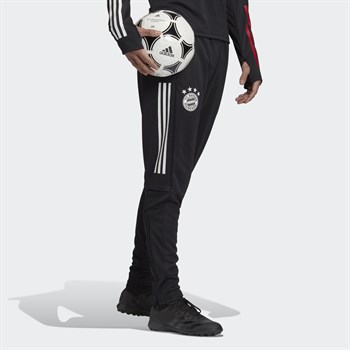 adidas FC Bayern Training Erkek Eşofman Altı