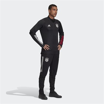adidas FC Bayern Training Erkek Eşofman Altı