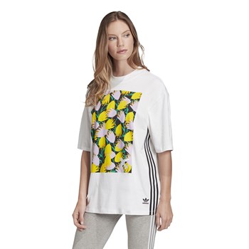 adidas Graphic Tee Kadın Tişört