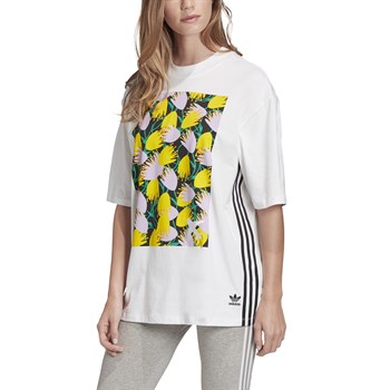 adidas Graphic Tee Kadın Tişört