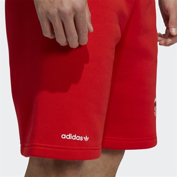 adidas Logo Play Erkek Şort