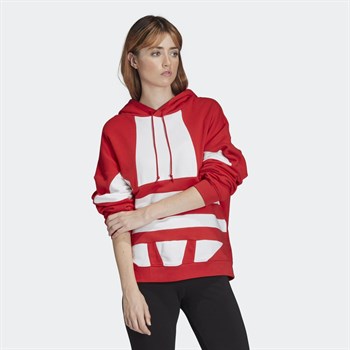 adidas Lrg logo Hoodie Kadın Sweatshirt