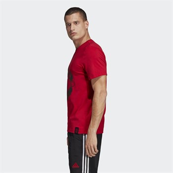 adidas Manchester United DNA Graphic Erkek Tişört