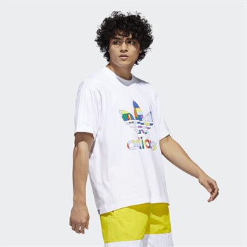 adidas Pride Flag Fill Erkek Tişört