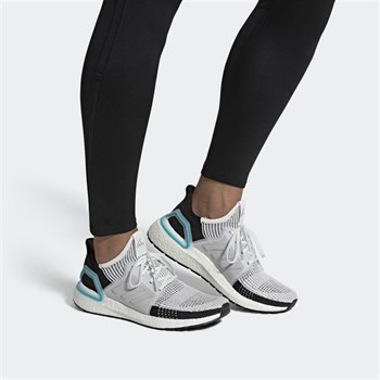 adidas ULTRABOOST 19 Erkek Koşu Ayakkabı