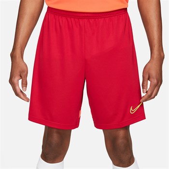 Nike Dri-Fit Academy Erkek Şort