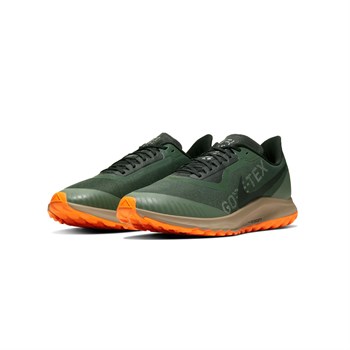 Nike Zoom Pegasus 36 Trail Gtx Erkek Koşu Ayakkabısı
